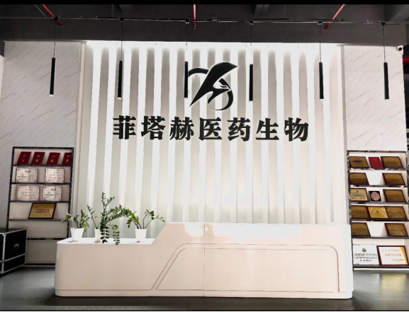 菲塔赫.png